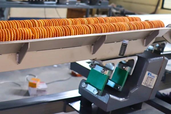 Biscuit Conveying Real Image