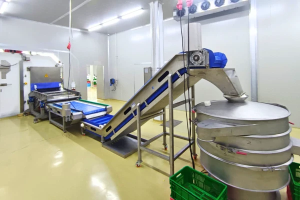 IQF-Material Handling System Real image banner_shri vibracion tech