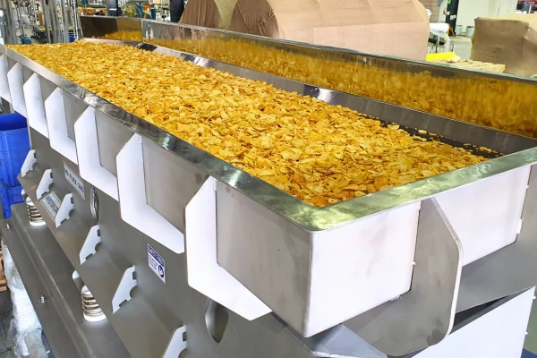 Inspection Conveyor Real Image