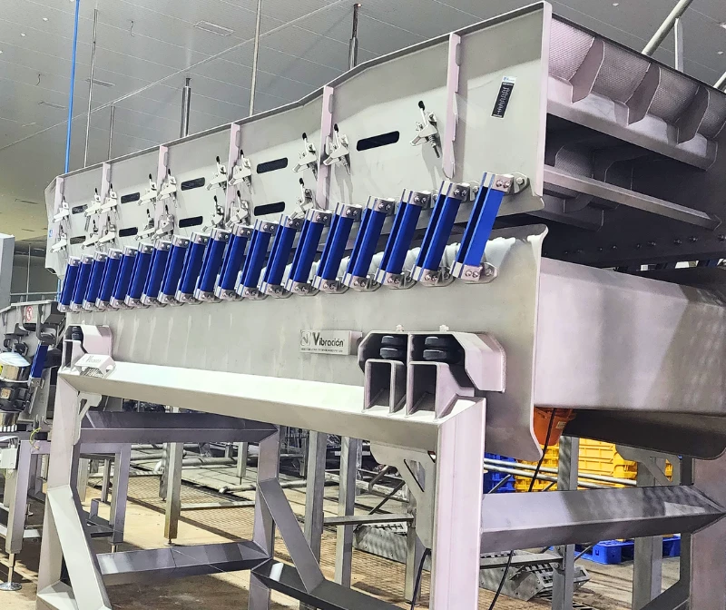 Screening shri vibracion