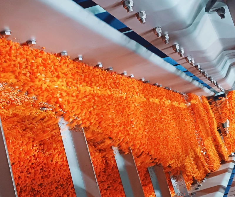 Seasoning Scarf shri vibracion