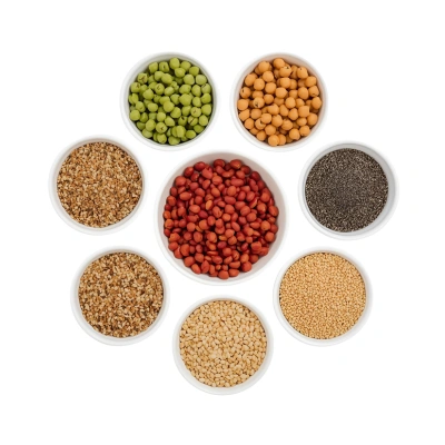 Solutions for Grains Industry_Shri Vibracion Technologies